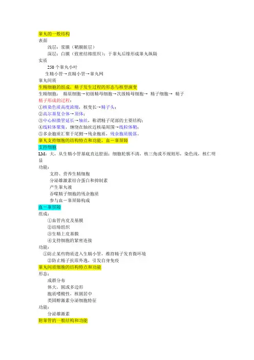 组胚期考复习第第十八十九章重点