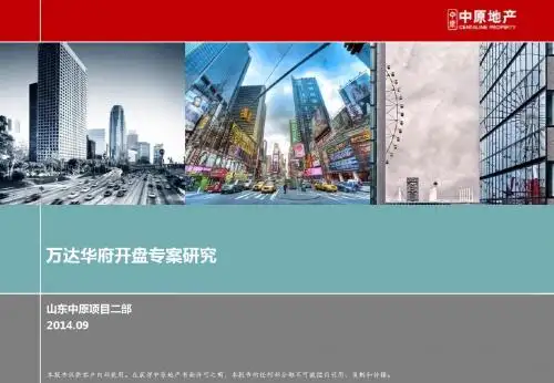 万达华府专案研究3