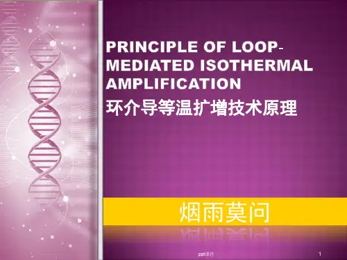环介导等温扩增技术原理 ppt课件