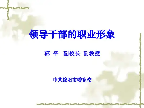领导干部的职业形象