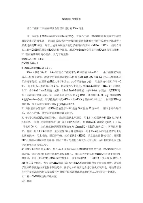 Northern杂交技术