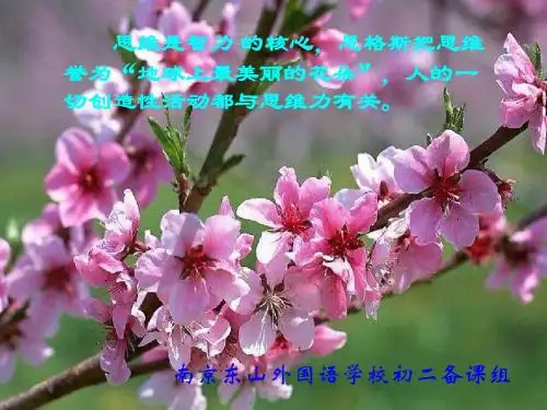 9.4 矩形、菱形、正方形(5)