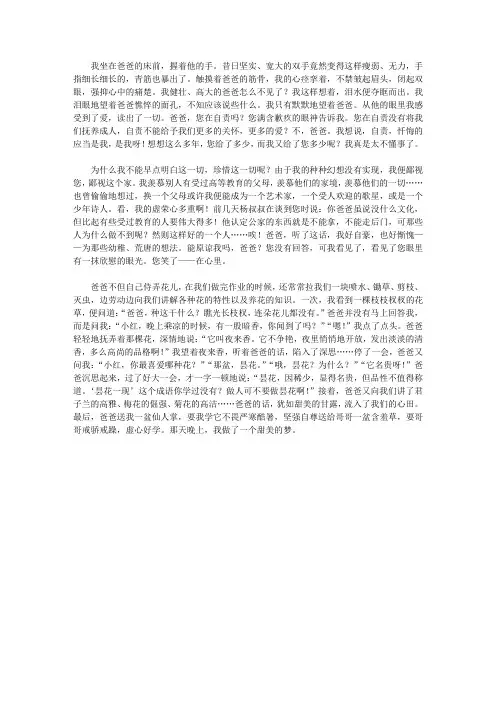 爸爸的爱 2