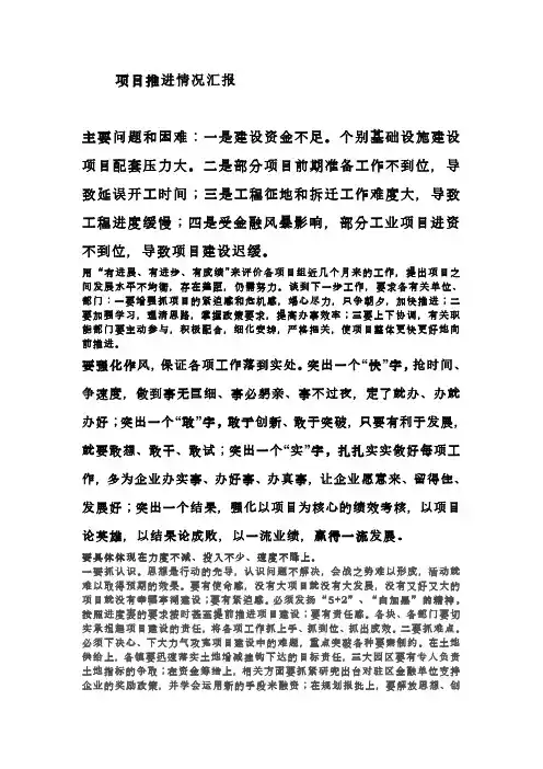 项目推进情况汇报2.11.4.23