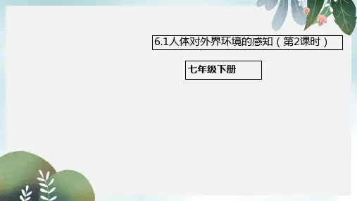 七年级生物下册4.6.1人体对外界环境的感知第2课时课件新版新人教版