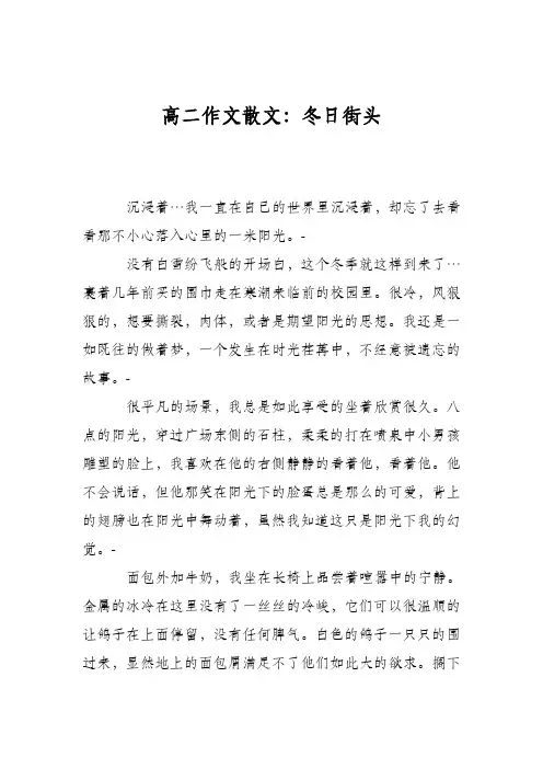 高二作文散文：冬日街头