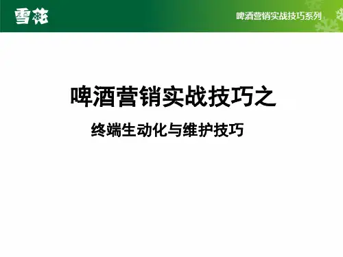 终端生动化陈列手册-华润雪花啤酒