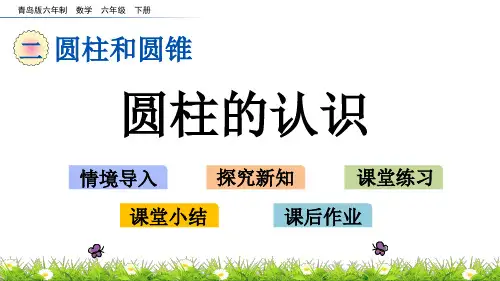 青岛版六年级数学下册课件2.1 圆柱的认识