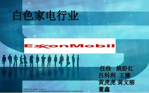 白色家电行业分析