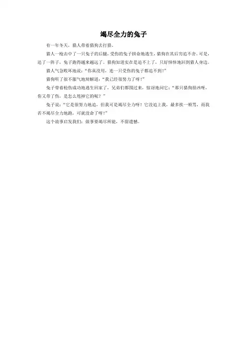 拓展阅读-《竭尽全力的兔子》