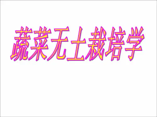 蔬菜无土栽培学全套完整课件