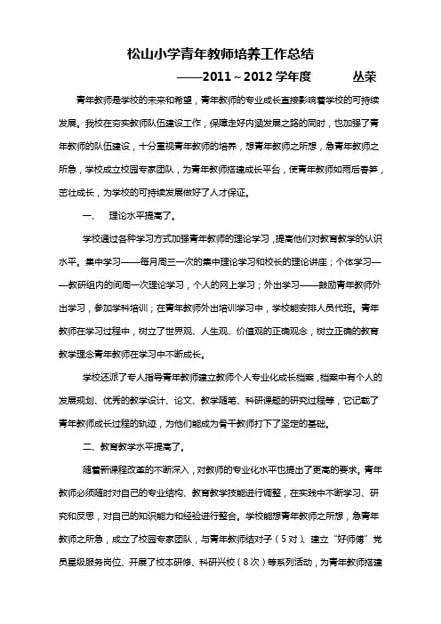 青年教师培养工作总结