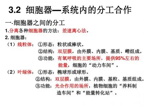 高一生物第三章第二节 细胞器—系统内的分工合作