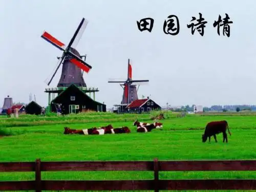 田园诗情-ppt课件_图文.ppt