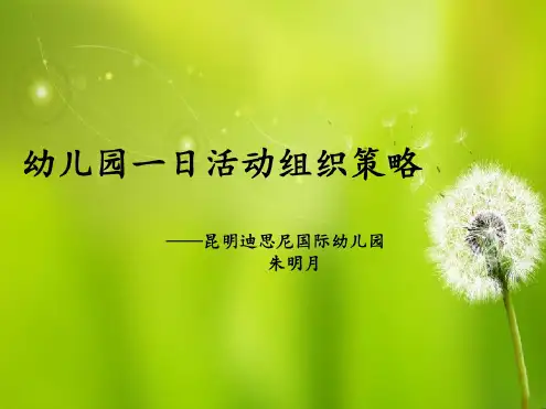 幼儿园一日活动组织策略.ppt教学内容