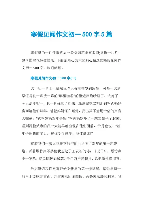 寒假见闻作文初一500字5篇