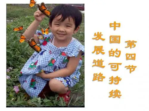 高一地理中国的可持续发展道路