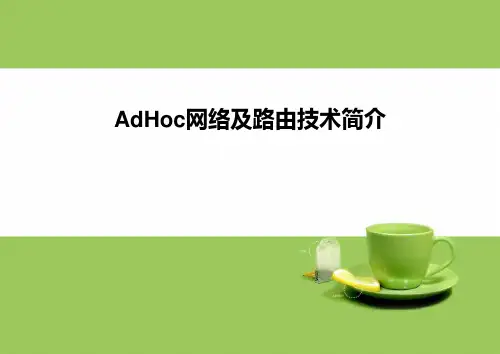 AdHoc网络及路由技术简介