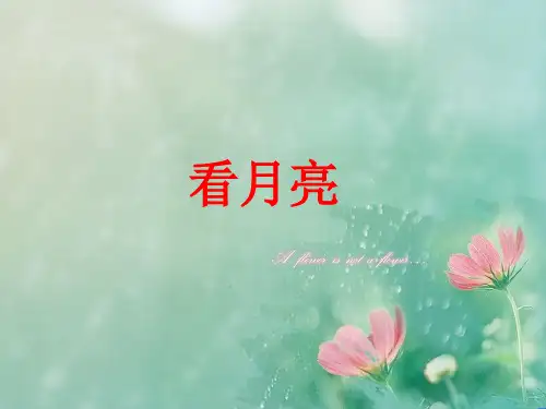 二年级看月亮课件