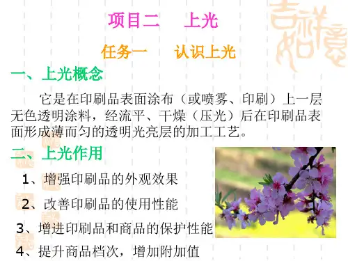 常见的涂布方式