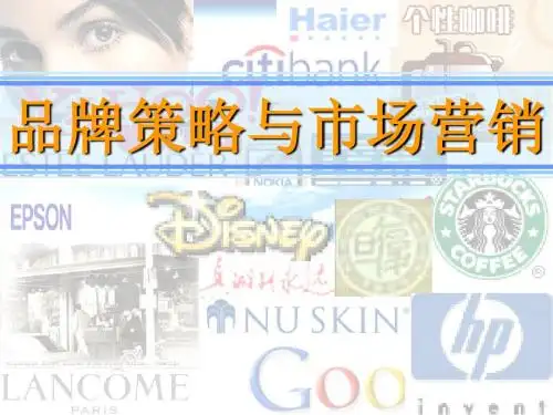品牌策略与市场营销