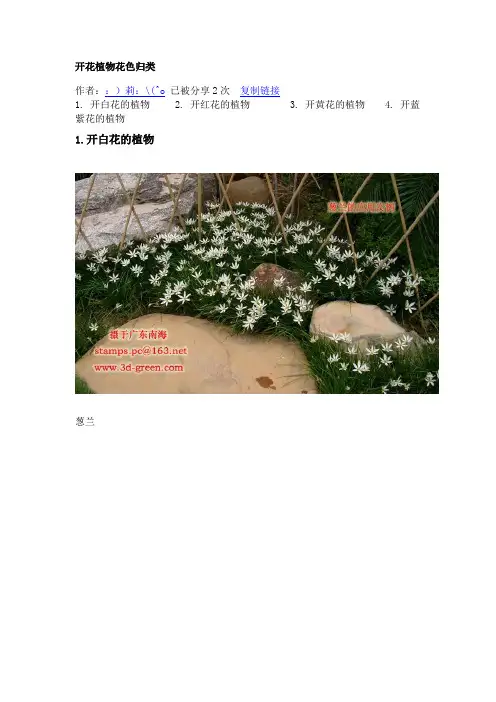 那些植物开白色蓝色红色的花