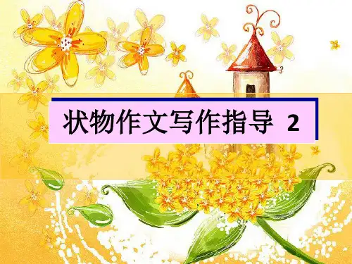 状物作文PPT