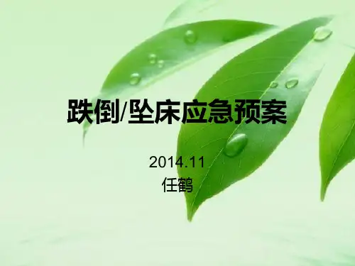 跌倒或坠床应急预案
