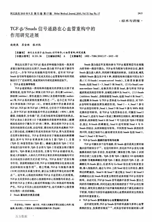 TGF-β_Smads信号通路在心血管重构中的作用研究进展