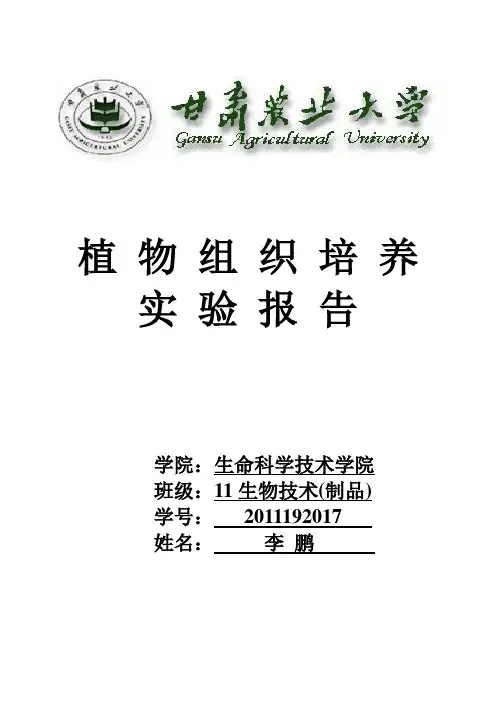 植物组织培养实验报告 3