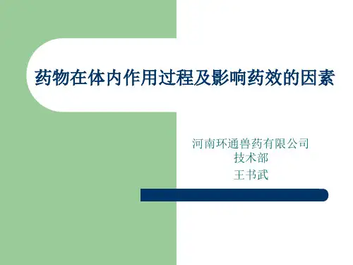 药物在体内作用过程及影响药效