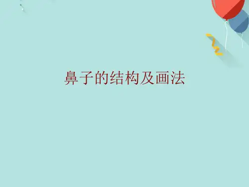 鼻子的结构及画法PPT课件