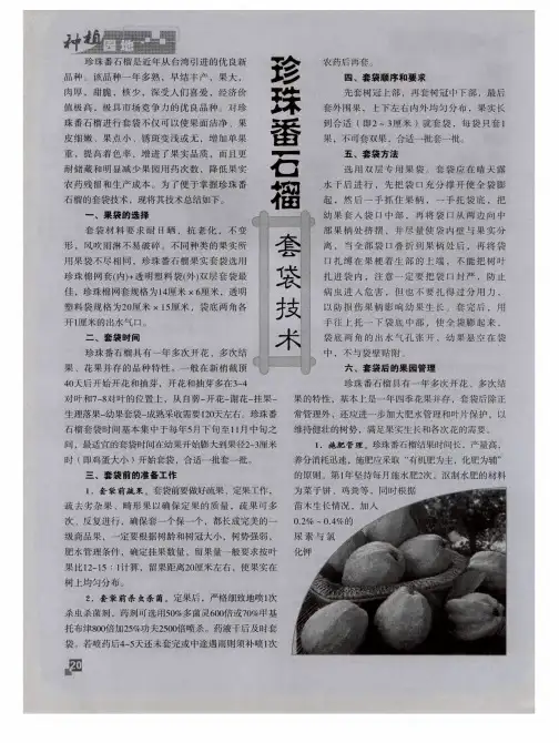 珍珠番石榴套袋技术