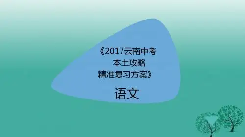 云南省2017届中考语文总复习：议论文精准复习ppt课件