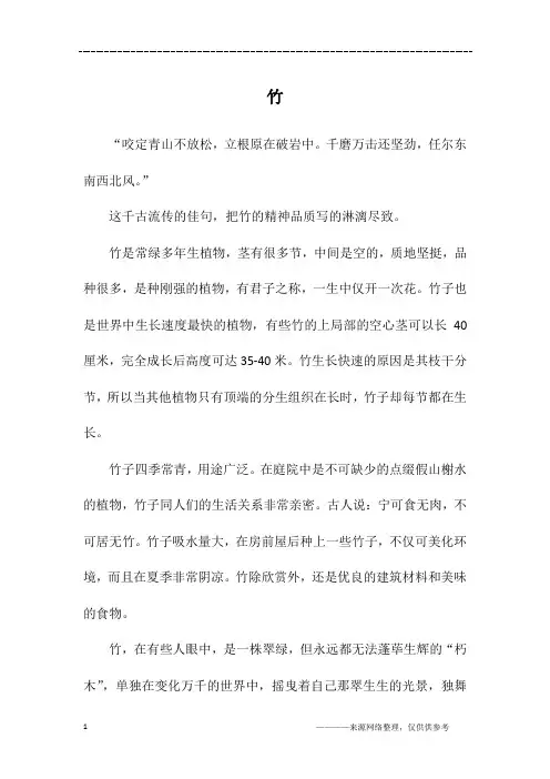 竹_初一作文_2