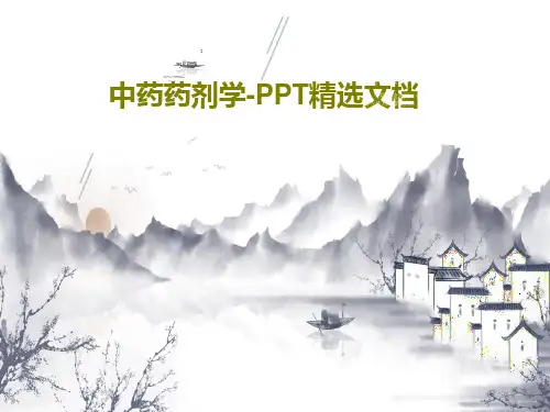 中药药剂学-PPT精选文档共51页