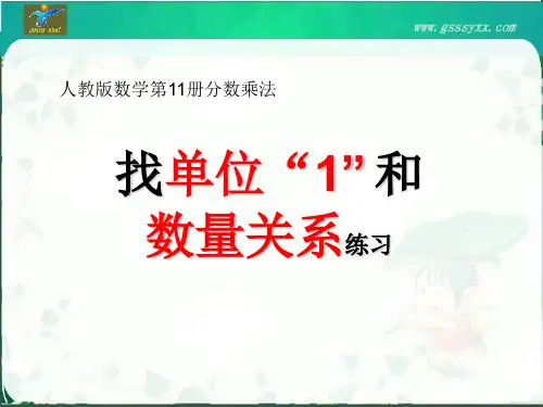 找单位“1”和数量关系练习