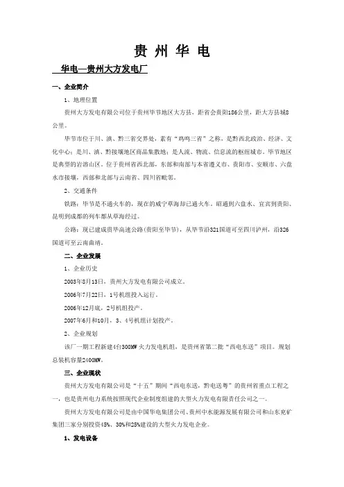 贵州华电