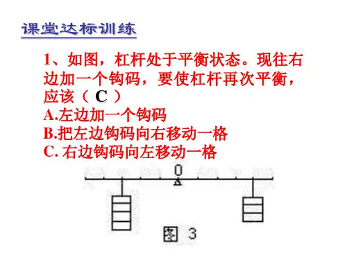 八年级物理杠杆原理及应用