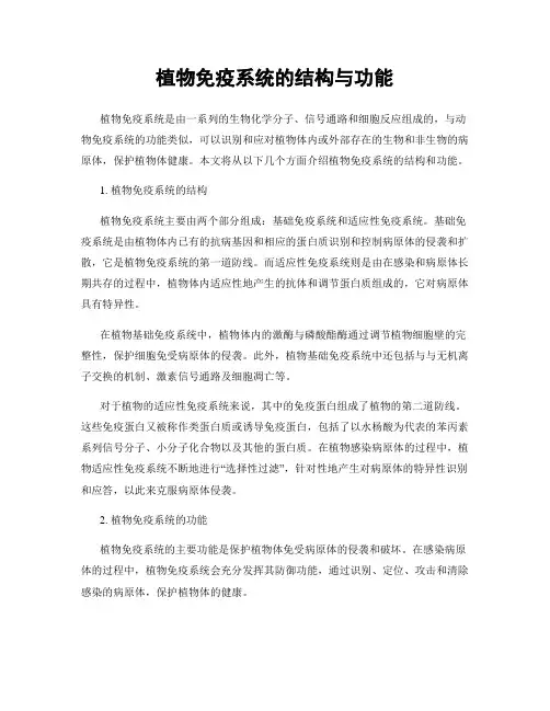 植物免疫系统的结构与功能