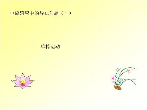高三物理：电磁感应导轨 单轨、双轨(新)课件人教版