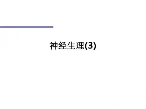 神经生理(3)ppt课件