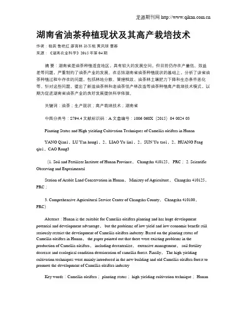 湖南省油茶种植现状及其高产栽培技术