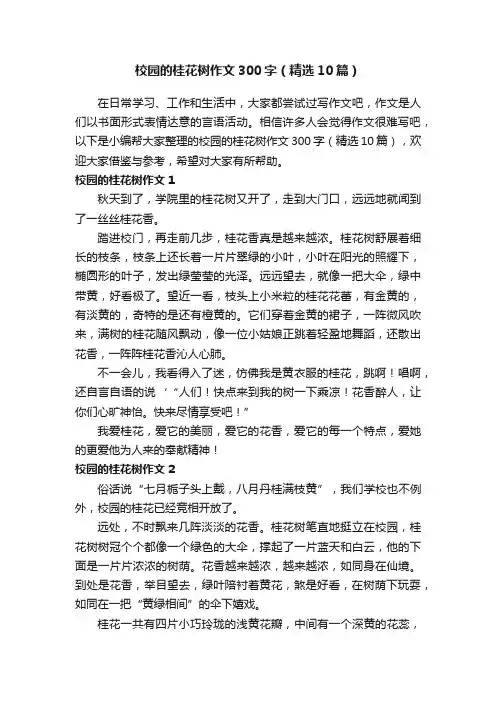 校园的桂花树作文300字（精选10篇）