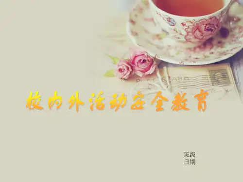 校内外活动安全教育概述.