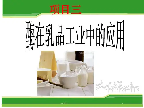 酶在乳制品工业中的应用  ppt课件