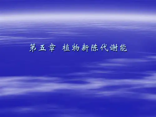气象学 第五章