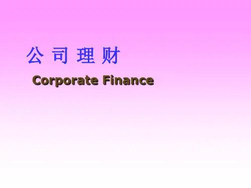 公司理财概述(PPT 45页)