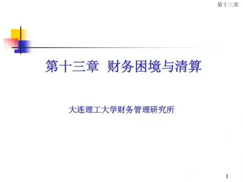 17、财务困境与清算