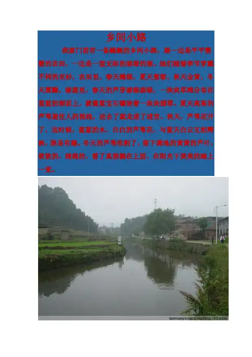 乡间小路 2